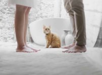 Couple and cat (Photo by Hutomo Abrianto on Unsplash)